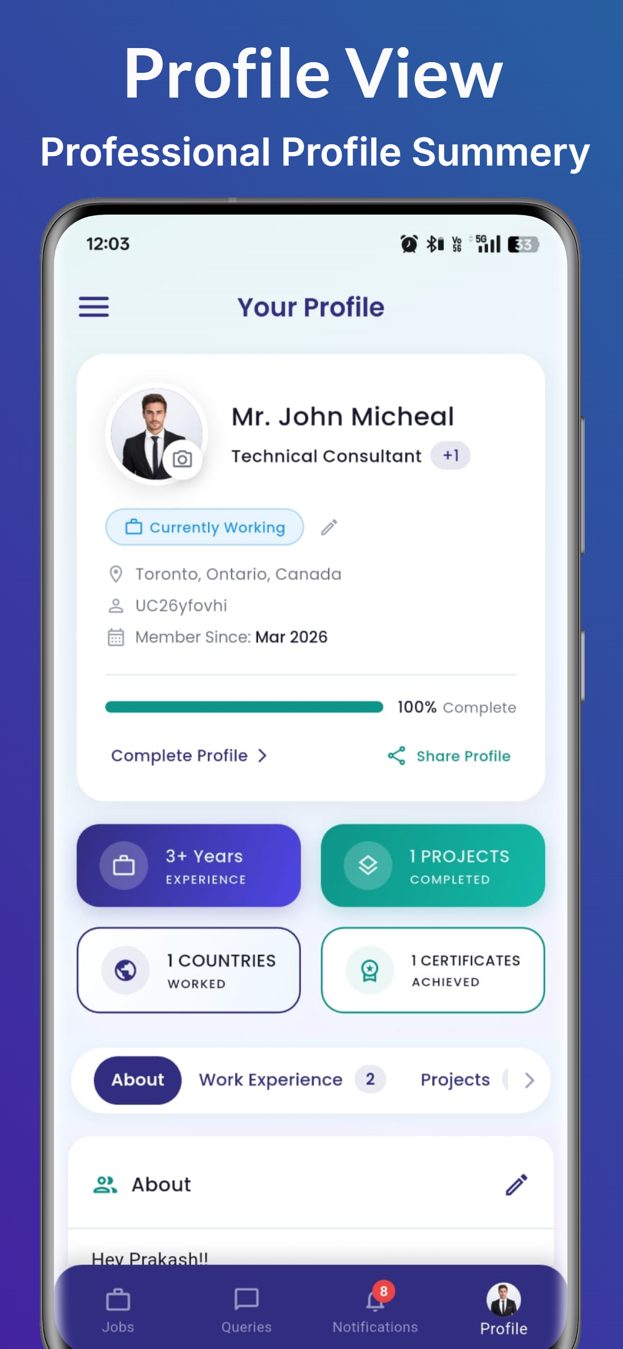 Professional profile view